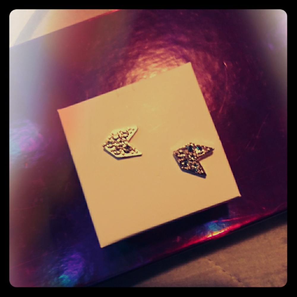 NWT Sliver Earrings